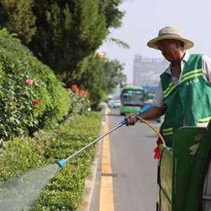 园林绿化养护